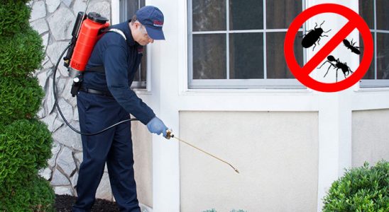 Milas Fare İlaçlama böcek ilaçlama ve haşere kontrolü — ilaclama-tr.com